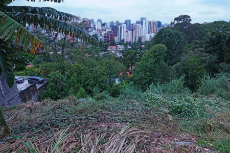 Sao Paulo Morumbi Comercial Venda R$9.000.000,00  Area do terreno 1800.00m2 